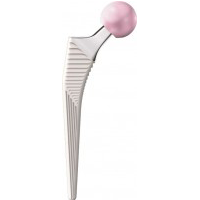 Signature Hip Origin Femoral Stem